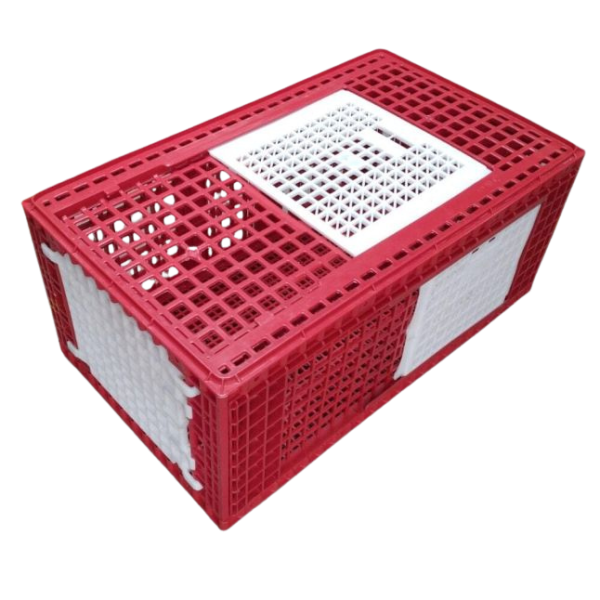 Cage transport grandes volailles