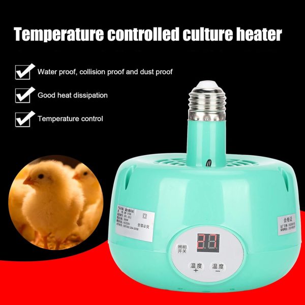 lampe chauffante pour élevage de volailles, régulateur de température 300W