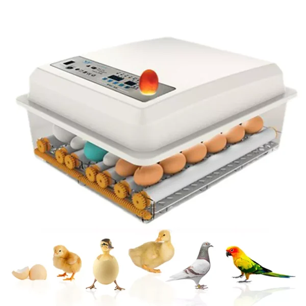 Couveuse automatique incubateur 36 oeufs
