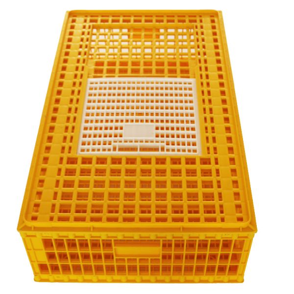 Cage de transport