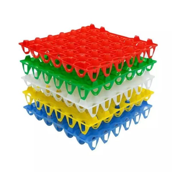 Plateau en plastique 30 œufs