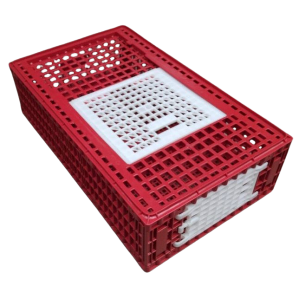 Cage transport poules et volailles