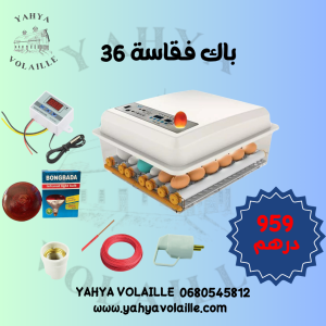 Image du produit