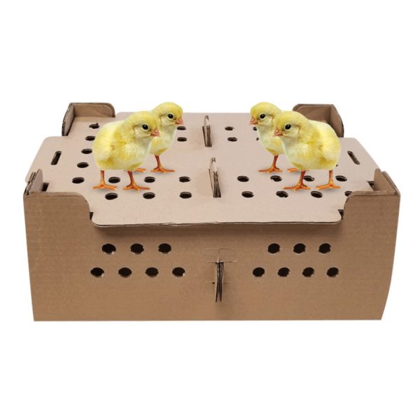 Caisse Poussins