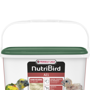 Image du produit