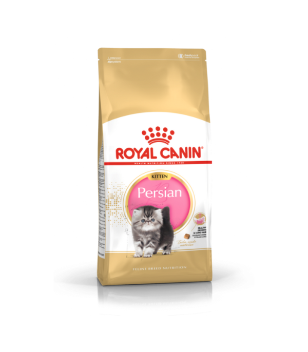 Croquettes chat Persan junior 2Kg